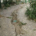 IMG_1849-225x300[1]