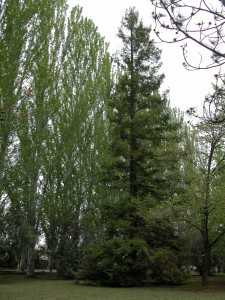 DSCN0323 (2)