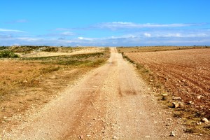 Camino