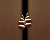 abrir-abriendo-puertas