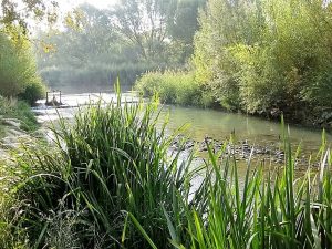 Canal. Parque fluvial.